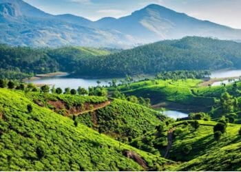 Munnar City tour