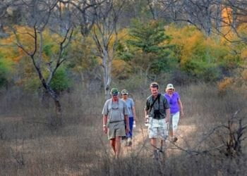 Satpura Waking Nature