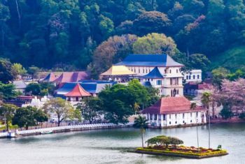 Kandy Private Tours