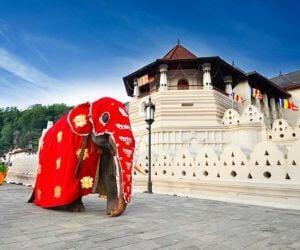 Tailor-made Holidays to Sri Lanka