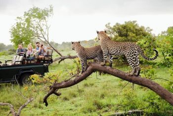 Yala Tours Sri Lanka